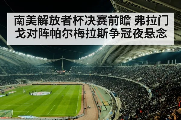 南美解放者杯决赛前瞻 弗拉门戈对阵帕尔梅拉斯争冠夜悬念